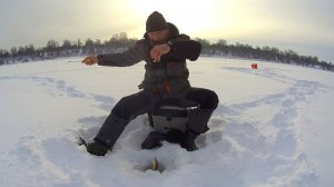 Сходит всегда самая КРУПНАЯ РЫБА. Рыбалка а ТАРУСЕ на ШАРИК и ГВОЗДИК.