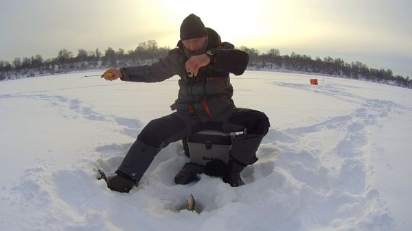 Сходит всегда самая КРУПНАЯ РЫБА. Рыбалка а ТАРУСЕ на ШАРИК и ГВОЗДИК.