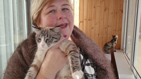 Домашние дела. Солнечные ванны  с девчатами. Сборный открытый пирог.