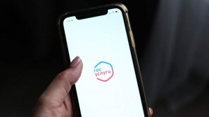 Россияне начнут получать уведомления на «Госуслугах» о всех оформляемых кредитах