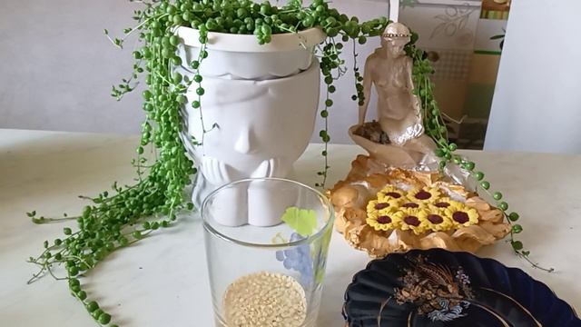 Умный посев перца смотреть онлайн