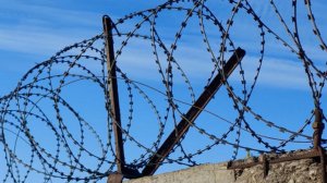 Воспитательницу из ЯНАО приговорили к 3 годам за избиение малышей