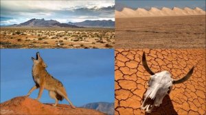 ДЖОН СТЕЙНБЕК - "ПУТЕШЕСТВИЕ С ЧАРЛИ в поисках АМЕРИКИ"(23)