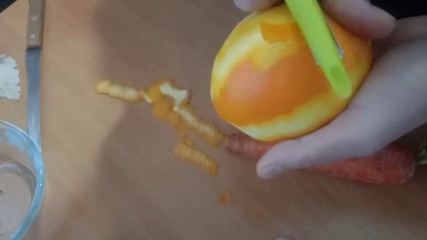 video_20260211_161806.mp4