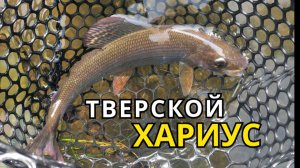 Ловля Хариуса в Тверской Области 2023.