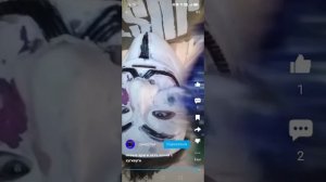 Обзор на Диму 29 ка