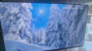 Обзор SBER Телевизор SDX-55U4139 55 4K UDH, черный