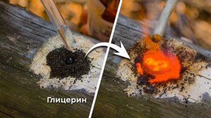 Отличные лайфхаки для выживания и похода в диких местах! #бушкрафт #кемпинг