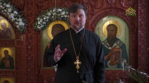 Вдохновение с Вероникой Бельковой-Розовой. День трёх святителей.