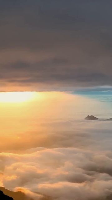 Язык твоего состояния