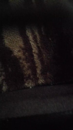 на ночь телефон