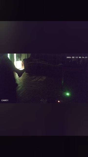 сбор русских терминаторов за оскорбление Августины