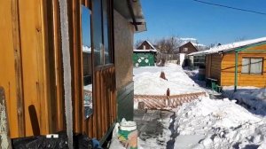 2232.  Срочные и неотложные работы  на даче.