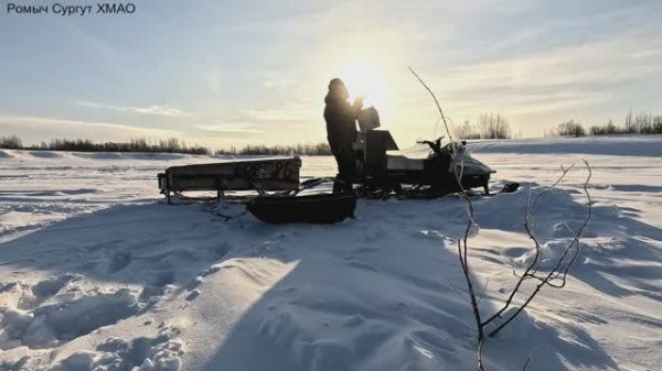 Жерлицы проверка. 6 день.