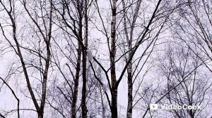 Вернулась зима