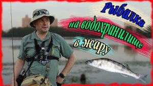 Рыбалка на Химкинском водохранилище в жару. Окунь и судак на микроджиг