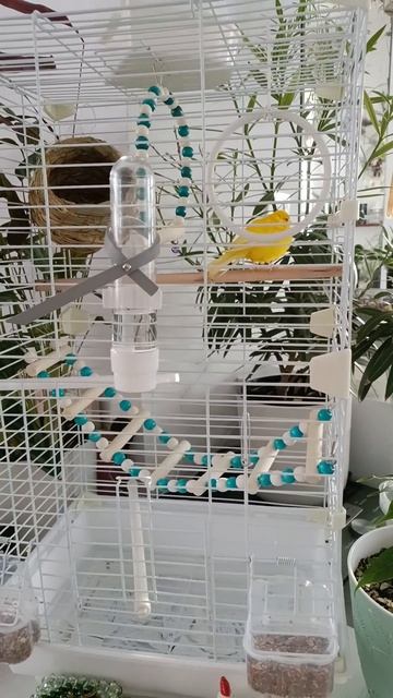 🐦🐦🐦🌿🍃🌷🌷🌷🌸 смотреть онлайн