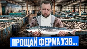 ЭТИ Фатальные ОШИБКИ 100% УБИВАЮТ Ферму УЗВ! (проверено практикой)