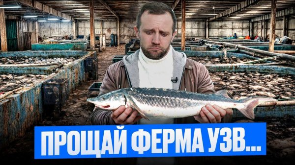 ЭТИ Фатальные ОШИБКИ 100% УБИВАЮТ Ферму УЗВ! (проверено практикой)