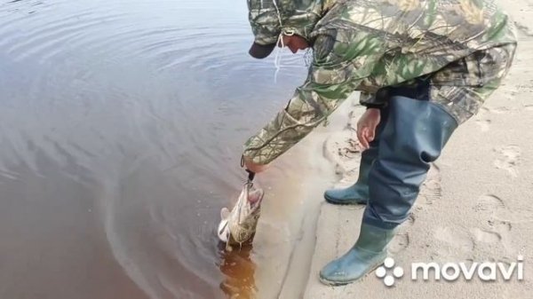 Рыбалка на спиннинг , Щучий жор .Крокодилы Ямала