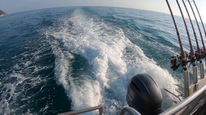 Ну а пока жара и рыбка особо не клюёт, вырвались компанией отдохнуть на море в с. Дивноморское...