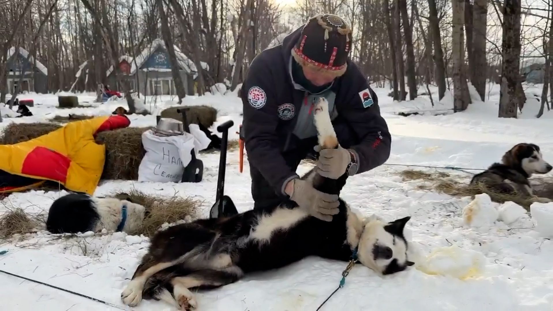 АВАЧА-2026 – НА ПОЛПУТИ | Новости Камчатки | Масс Медиа смотреть онлайн