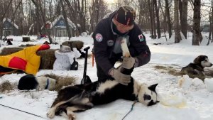 АВАЧА-2026 – НА ПОЛПУТИ | Новости Камчатки | Масс Медиа