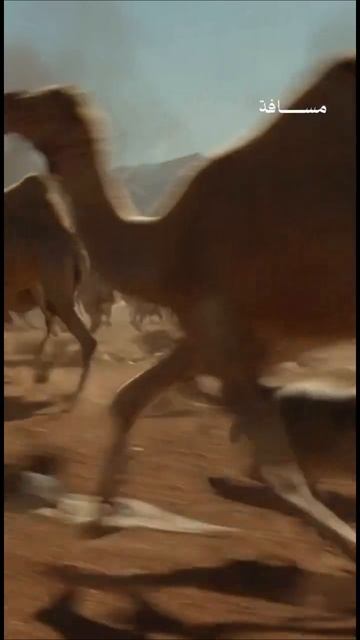 Quran 21:96 Сура al-Anbiya "Пророки" смотреть онлайн