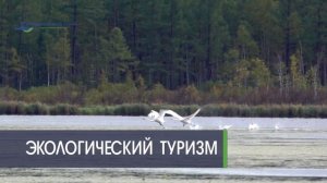 Экологический туризм. Хабаровский край