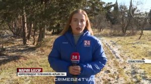 Как севастопольцы передают знания о сохранении леса из поколения в поколение