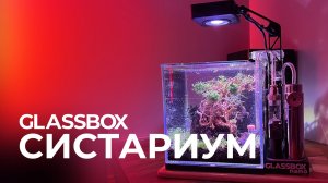 Систариум по версии Glassbox