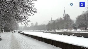 Снежный февраль: улицы Калининграда покрылись белым ковром
