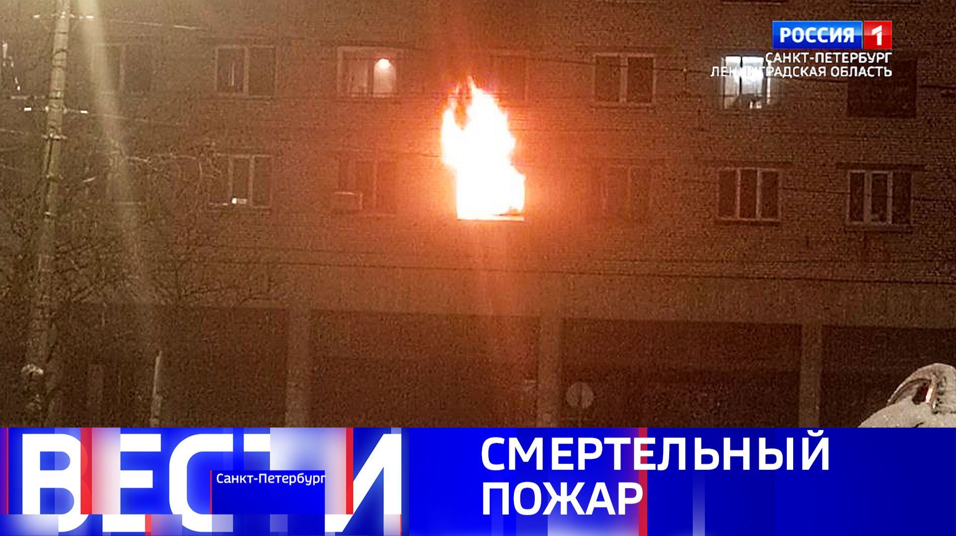 Вести Санкт-Петербург. Выпуск 11.30 от 12.02.2026 смотреть онлайн