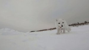 Рыбалка по быстрому. Проверка перемётов на реке.