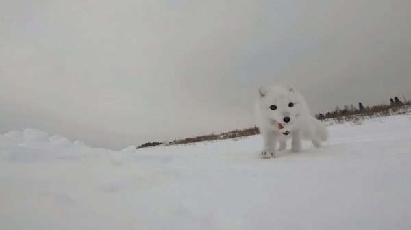 Рыбалка по быстрому. Проверка перемётов на реке.