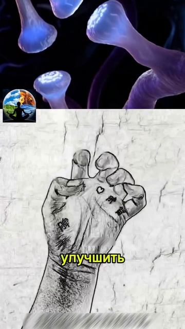 Мудра от деменции смотреть онлайн