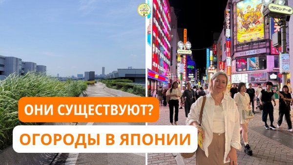 Что выращивают на огородах в Японии?