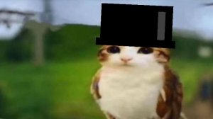 видео на 10 подписчиков! (пишите вопросы)