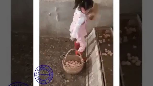 i (11) смотреть онлайн