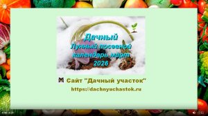 Дачный Лунный посевной календарь на март 2026 года для садоводов и огородников