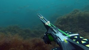 Слиться с водой / Подводная охота на кефаль