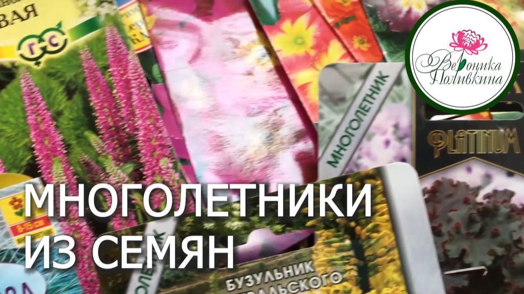 Как вырастить многолетники из семян- смотреть онлайн