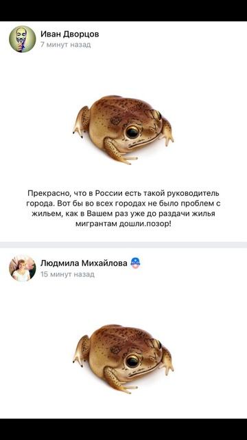 Сердобск. Мэрше-замигрантке не понравились подарки в вк и она закрыла личку