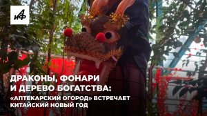 Драконы, фонари и дерево богатства: «Аптекарский огород» встречает китайский Новый год