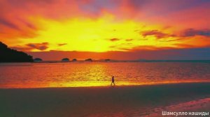 Коран сура Аль-Бакъара видео 4к Миншави -Minshawiy