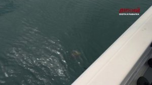 Камчатка. Большая рыбалка. Часть 1