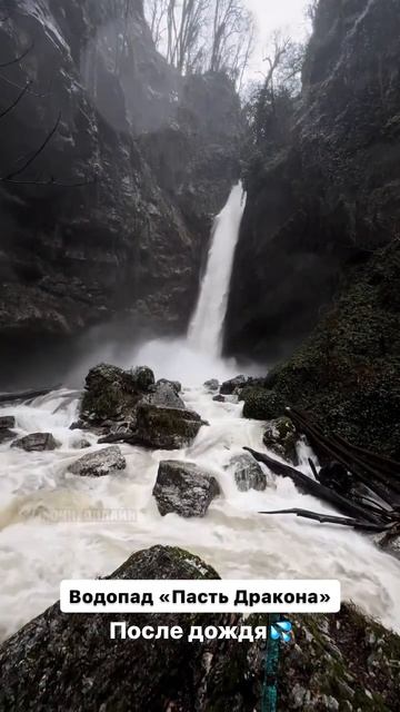 2026-02-09 смотреть онлайн