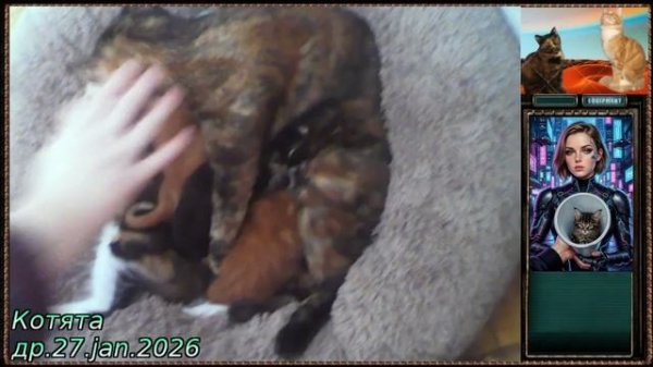 Сестренка пришла в гости