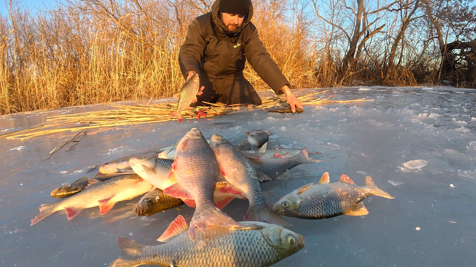 КРУПНАЯ КРАСНОПЁРКА КОСЯКАМИ КРУЖИТСЯ В ЭТОЙ ЯМЕ! Подлёдная рыбалка в Астрахани. смотреть онлайн