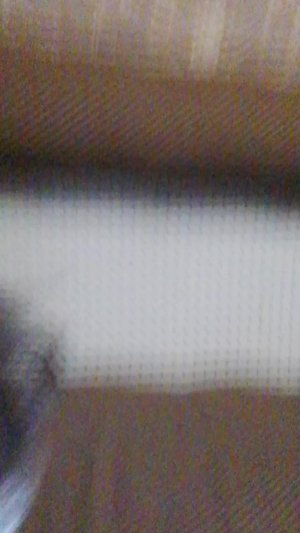 я запишу песню на миллионов так что собираем чтобы я написала песню